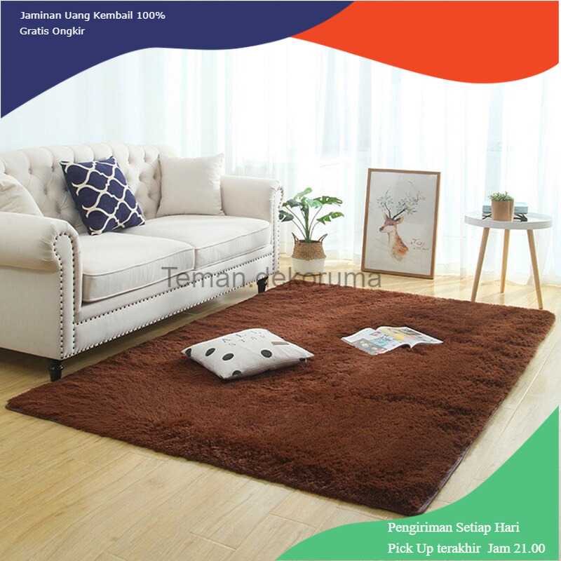 TD-AI04 DRESHOME Karpet Matras Bulu Non-Slip Living Room Rug 80x120cm - DE2002