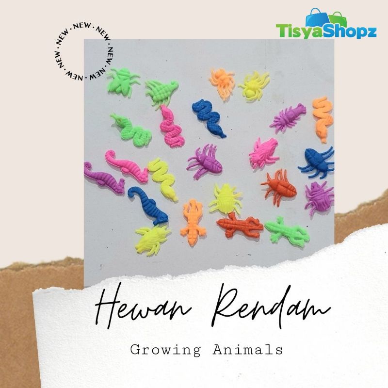 [ 10 PCS ] Hewan Rendam / Growing Animals Mainan Anak Rendam