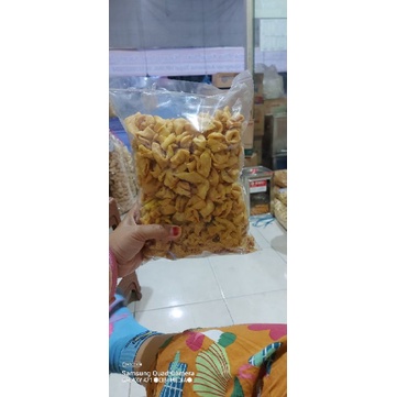 

daun pangsit kuncup