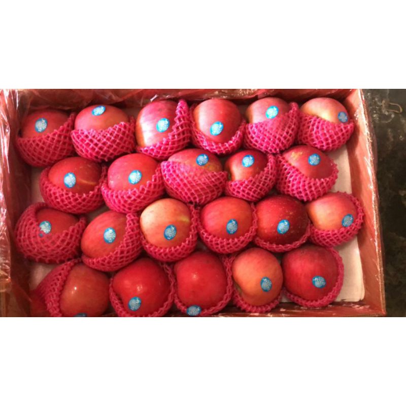 

buah apel fuji / apel juice 1 dus