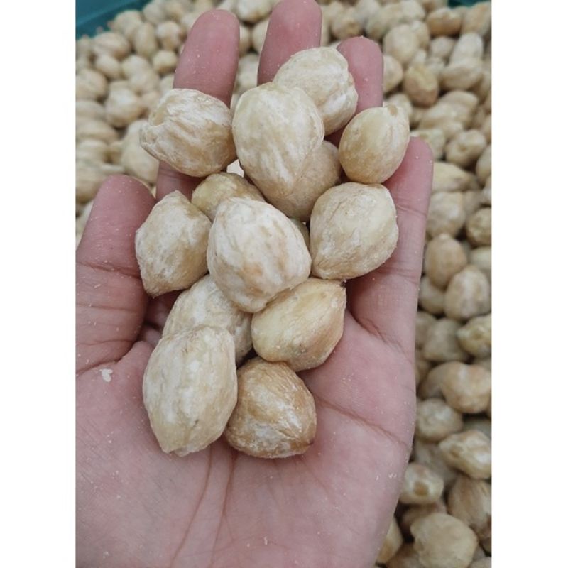 Kemiri Putih Super (100 gram) / miri / Keminting / kemiri Laut / Kemiri ADM