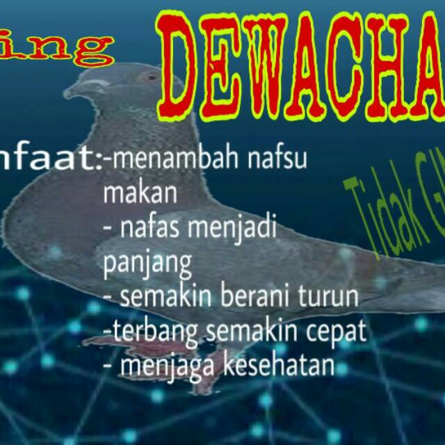 Doping merpati 100 butir murah / doping merpati balap / jamu merpati seprint / jamu merpati harian