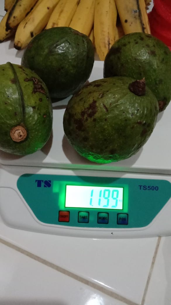 Timbangan Scale Digital Laundry Buah Surat 30 Kg X 1 G
