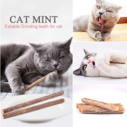 Catnip Kucing CATNIP STICK Snack Mainan Kucing Makanan Kucing Natural Matabi Cat Toys