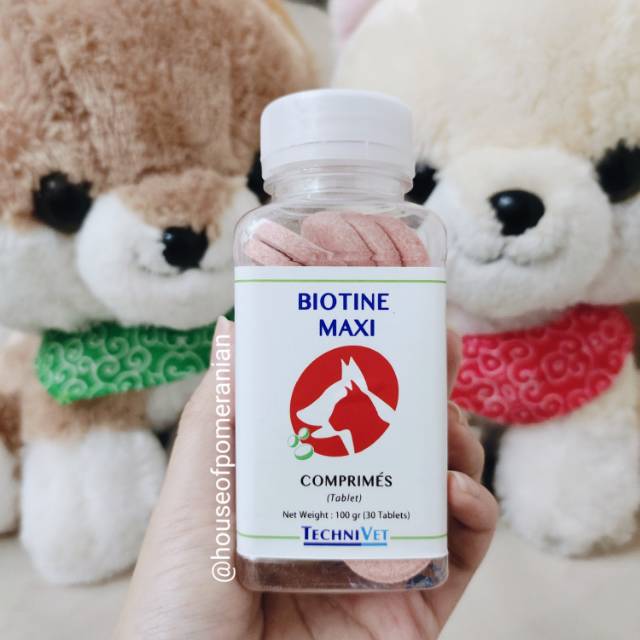 Biotine maxi vitamin bulu anjing kucing 30tablet dog cat shine hair supplement made in france