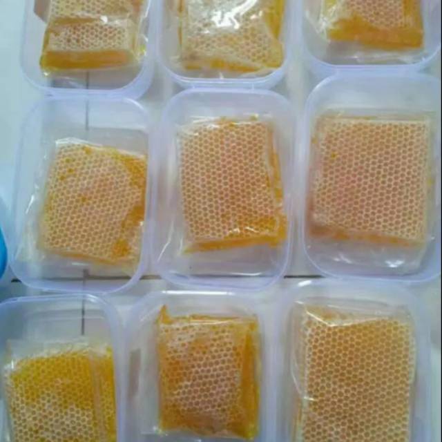 

Madu sarang melifera