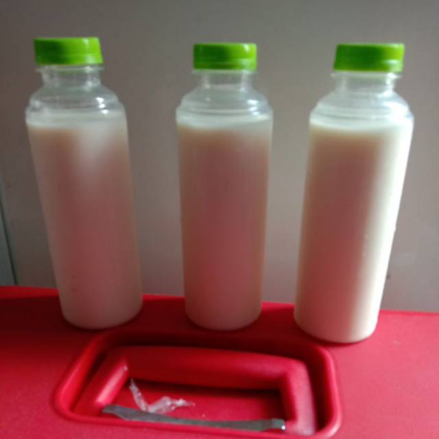 

Susu murni sapi
