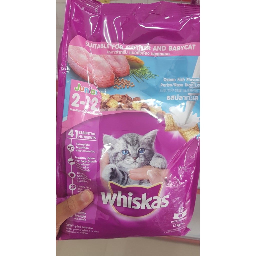 Makanan Kucing Kitten Whiskas Junior 1,1 kg freshpack