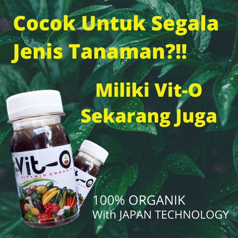 VITAMIN tanaman super - pupuk untuk segala tanaman - vit o, vit B1