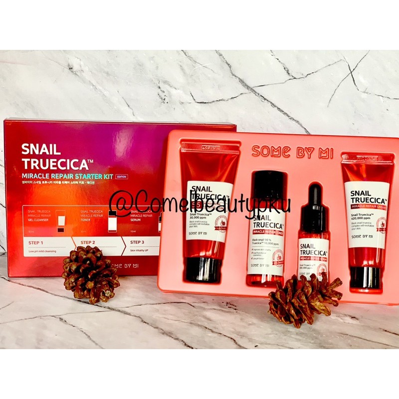 Somebymi snail true cica starter kit