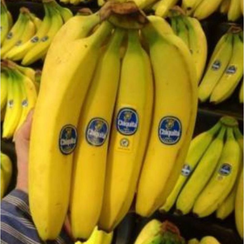 

Pisang cavendish