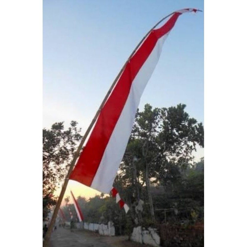 BENDERA MERAH PUTIH KUDA LAUT - DIRGAHAYU INDONESIA