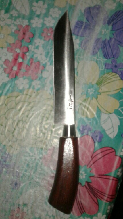 Pisau Dapur Baja Per Asli