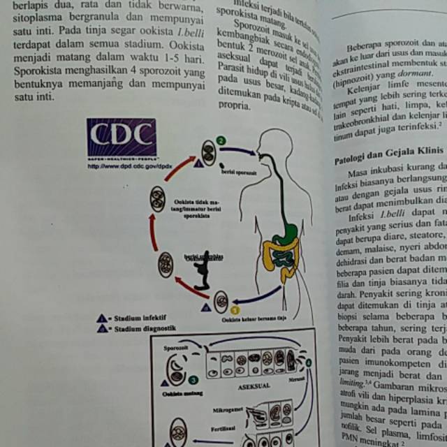 (ORIGINAL) BUKU AJAR PARASITOLOGI KEDOKTERAN EDISI 4 th 2021