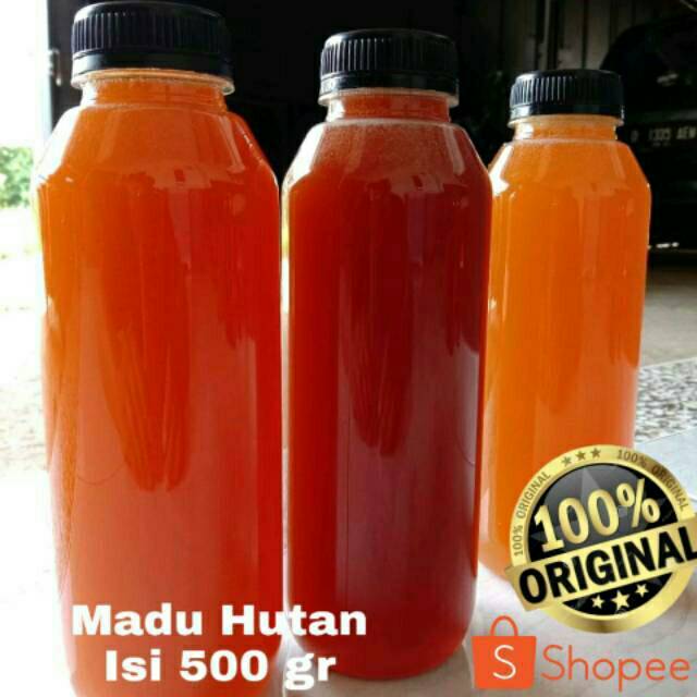 

MADU HUTAN MURNI APIS DORSATA [500 Gr]