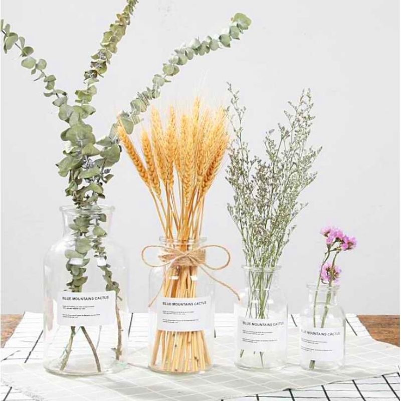 VAS BUNGA BOTOL KACA SCANDINAVIAN BENING 500ML / VAS AESTHETIC BUNGA KERING / ARTIFICIAL DRIED FLOWER / VAS KOREA MINIMALIS