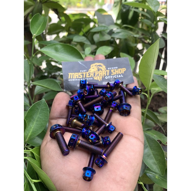 BAUT PB PROBOLT DRAT 10 x 1,5CM BLUE
