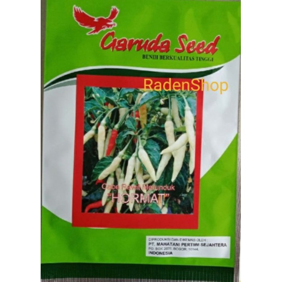 Benih Cabe Rawit Putih Merunduk HORMAT || Bibit Cabe rawit Putih Merunduk || Cabe Rawit Putih