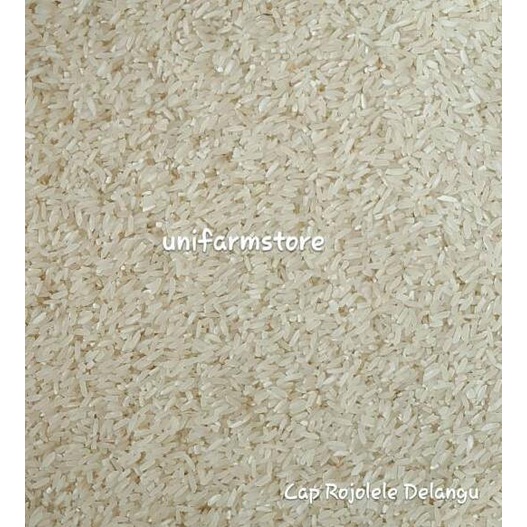 

ジ Beras Rojolele Delanggu 5KG New