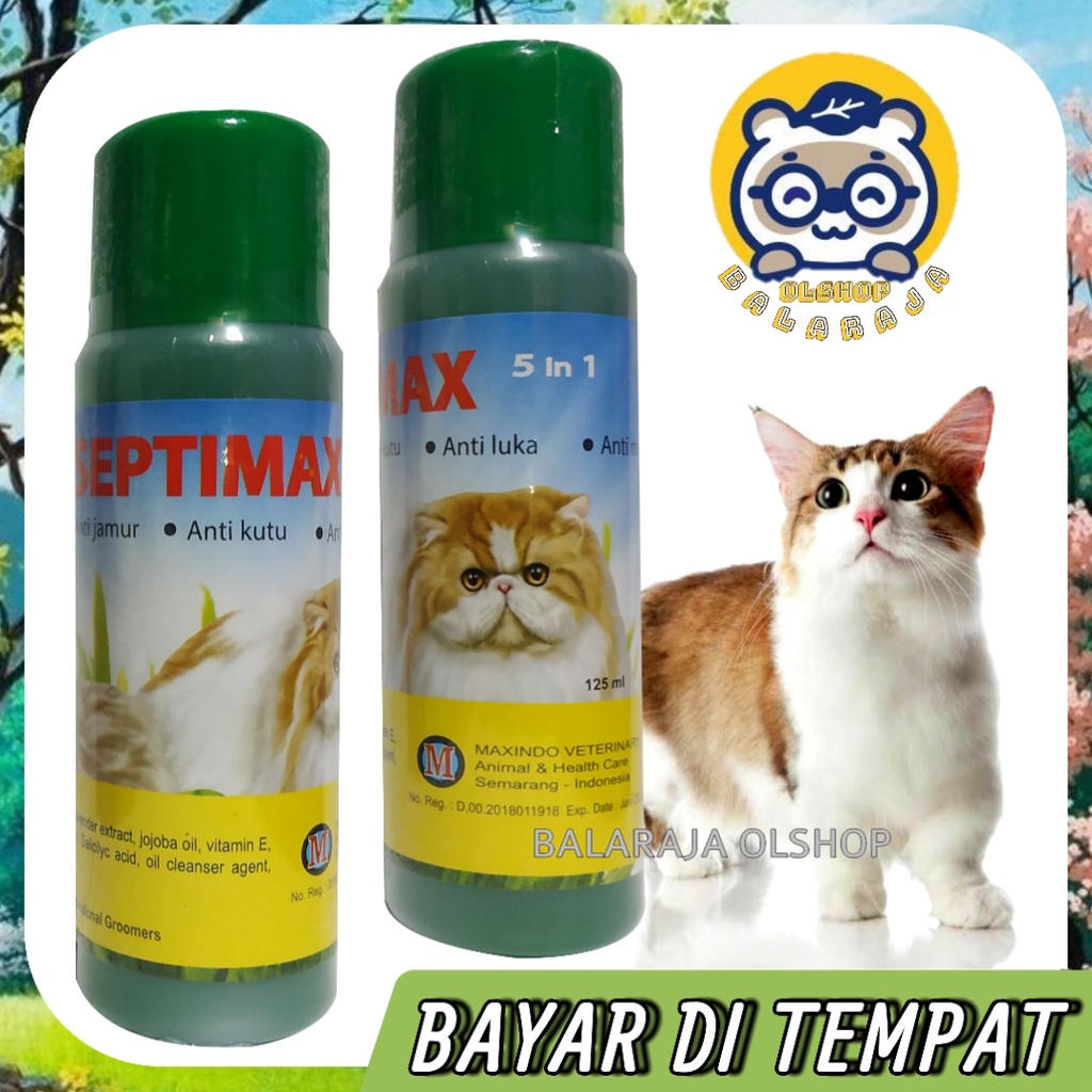 Sampo Kucing Anti Kutu Jamur Luka Bakteri Penghilang Noda Minyak 5 In 1 Septimax 125ML