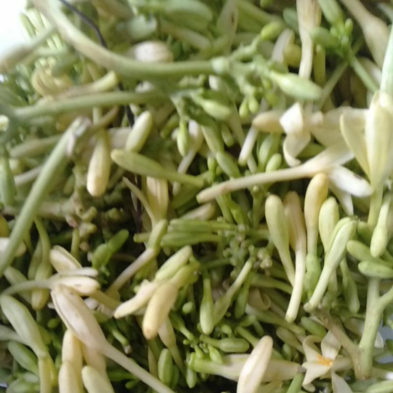 

Sayur Bunga Pepaya / Kembang Kates