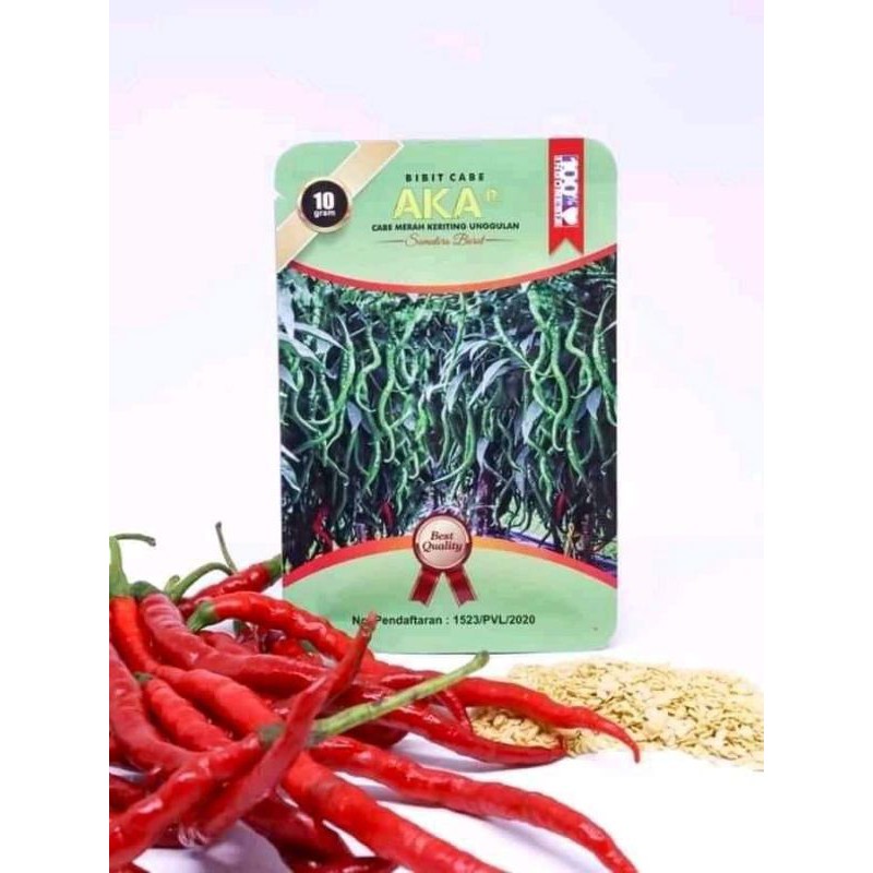 Benih CMK AKAR Sumbar