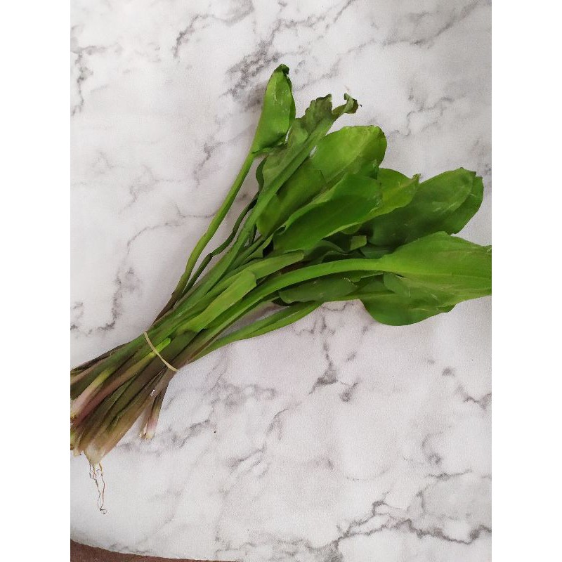 

Genjer sayur genjer