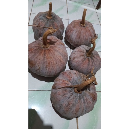 

Labu kuning jawa
