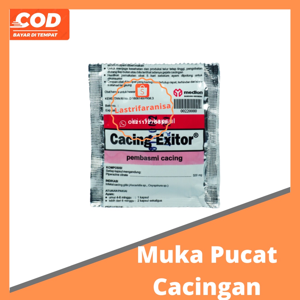 Obat cacing obat cacing ayam ayam cacingan obat cacing mata ayam obat cacingan ayam