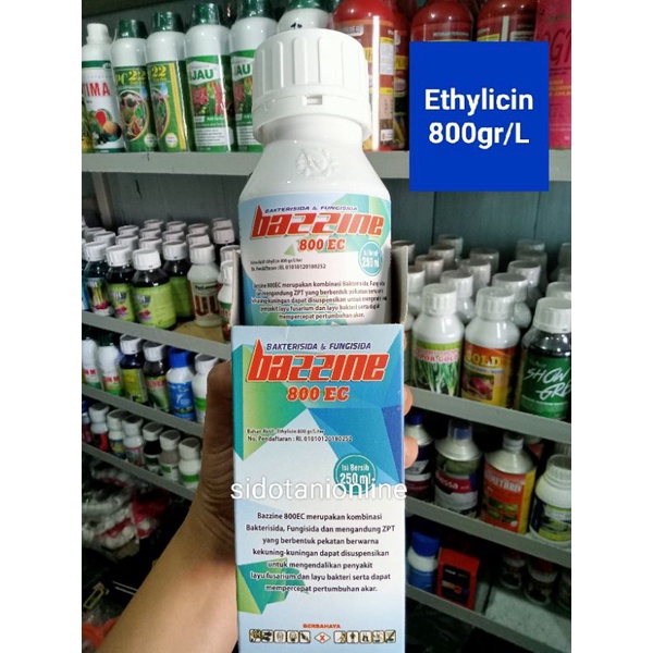 BAZZINE 800EC 250ml BAKTERISIDA DAN FUNGISIDA bahan aktif Etylichin 800ec
