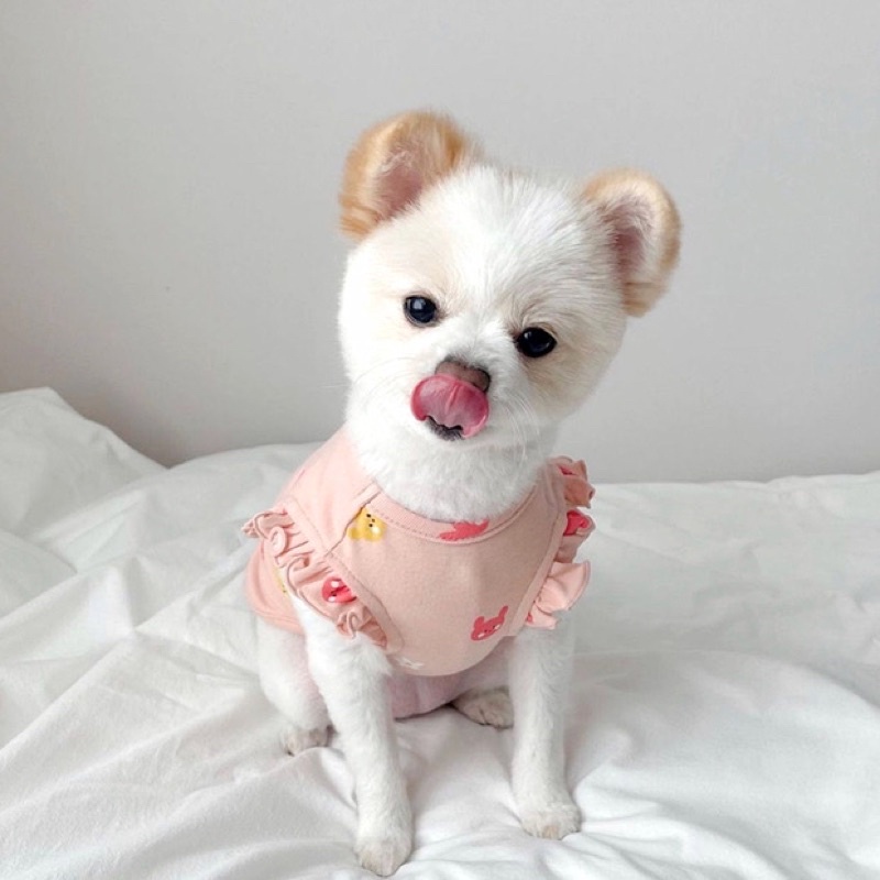 Pink &amp; White Bunny Dog Cat Shirt Baju Anjing Kucing Lucu