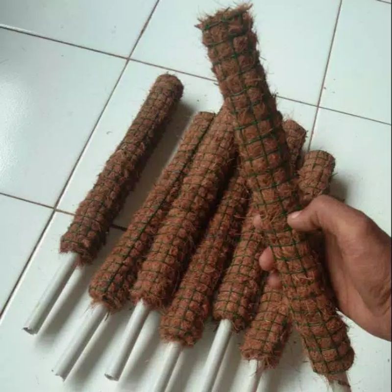 TURUS PENYANGGA TANAMAN RAMBAT 30CM