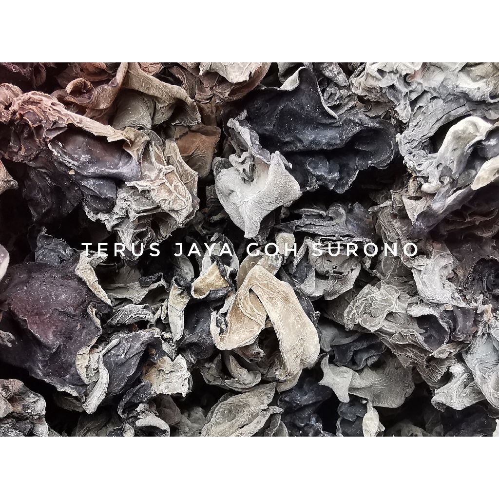 

Jamur Kuping Hitam Kering no 1 Dried Black Fungus 100g kualitas no 1