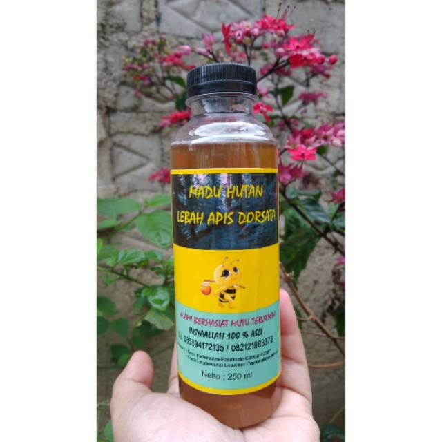 

Madu murni