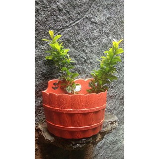  Pot  dinding  tempel  bunga tanaman hias besar Shopee Indonesia