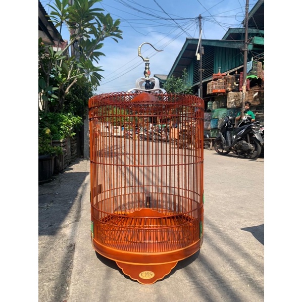 SANGKAR KANDANG MURAI REBORN CMS UK58