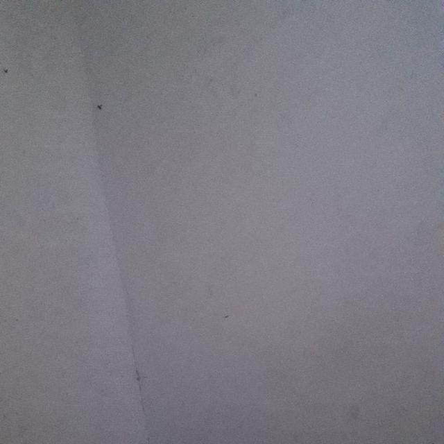 Cake Topper Besar Little Pony