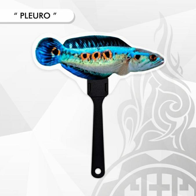 ] Wayang Ikan Channa Andrao , Pleuro , Asiatica , Stewarti , Sentratum