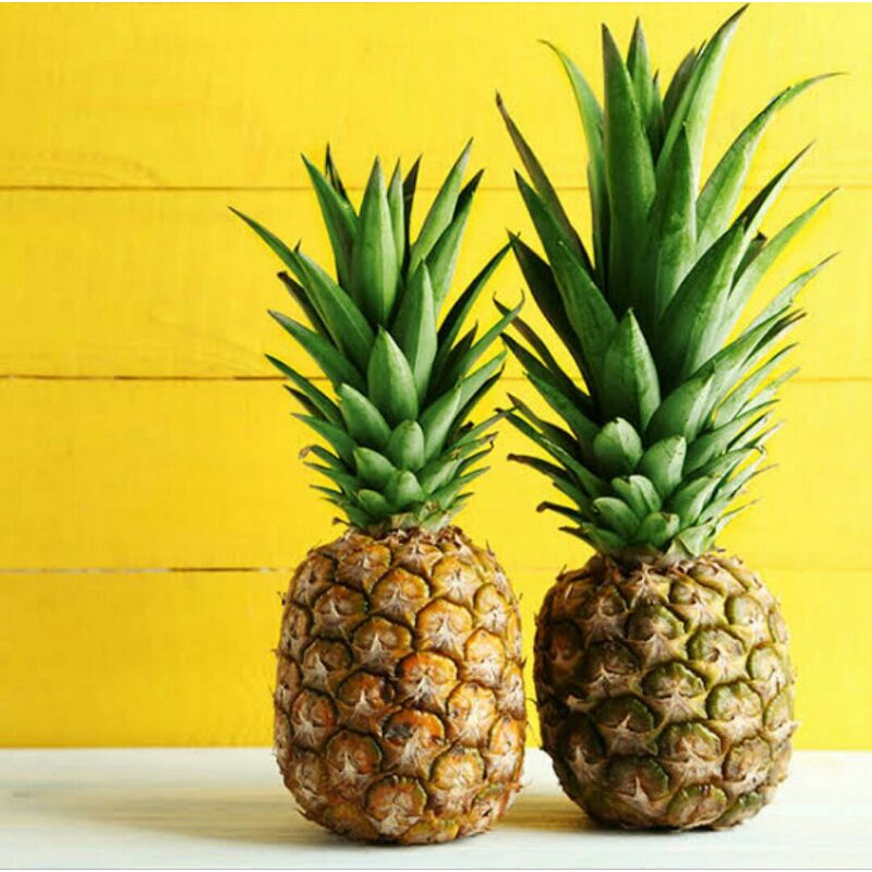 

Buah Nanas Madu 1 Buah Segar Pasar Murah Jogja