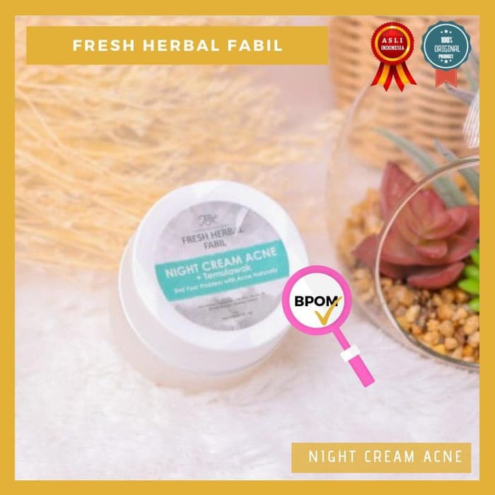 

Promo Fabil Night Cream Acne Temulawak Jerawat Komedo Lembap Daun Kelor Bpom