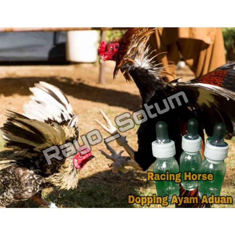 Doping Ayam Aduan Racing Horse Original Import Untuk Ayam Sabung