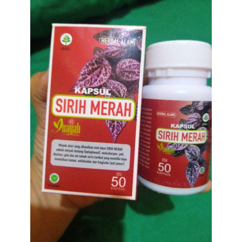 Jual Kapsul Daun Sirih Merah Inayah Isi 50 Kapsul Shopee Indonesia 6495