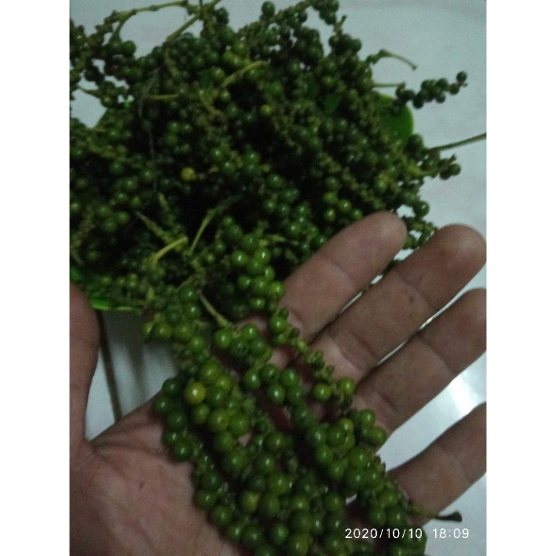 

lada hijau segar /100gram