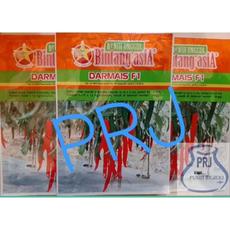 Benih Cabe DARMAIS F1 10 Gr - Bibit Cabai Merah BESAR Juara NASIONAL | PUNDI REJEKI | PRJ |