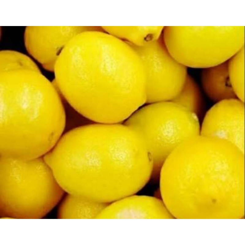 

LEMON BERASTAGI SUPER /KG