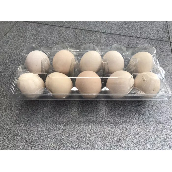 

Telur Ayam kampung isi 10