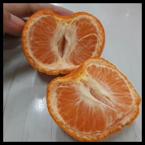 

Jeruk Afourer Australia Manis 1 Kg