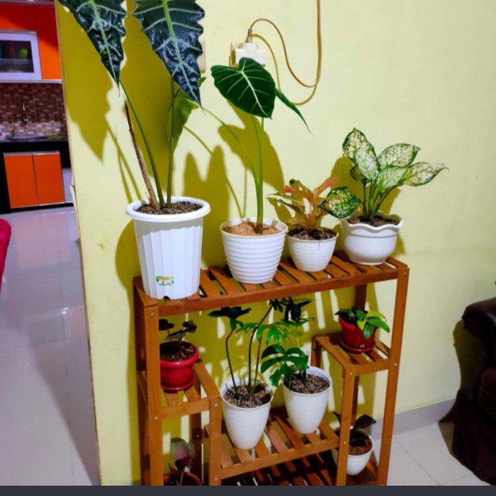 Rak Tanaman - Rak Kayu Jati Belanda Untuk Tanaman