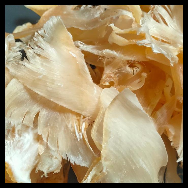 

DISKON TERBATAS !!! SIRIP IKAN HIU BESAR 100GRAM MURAH TERLARIS