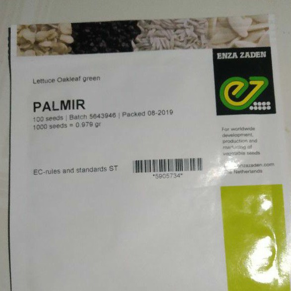 BENIH SELADA OAKLEAF GREEN PALMIR ENZA ZADEN